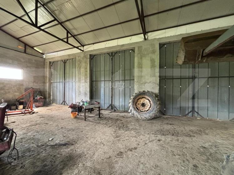 Hala, 230mp , zona Sud - 9