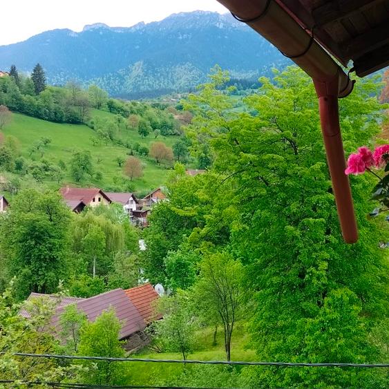 Oportunitate.Casă de locuit/casă de vacanță Bran Poarta