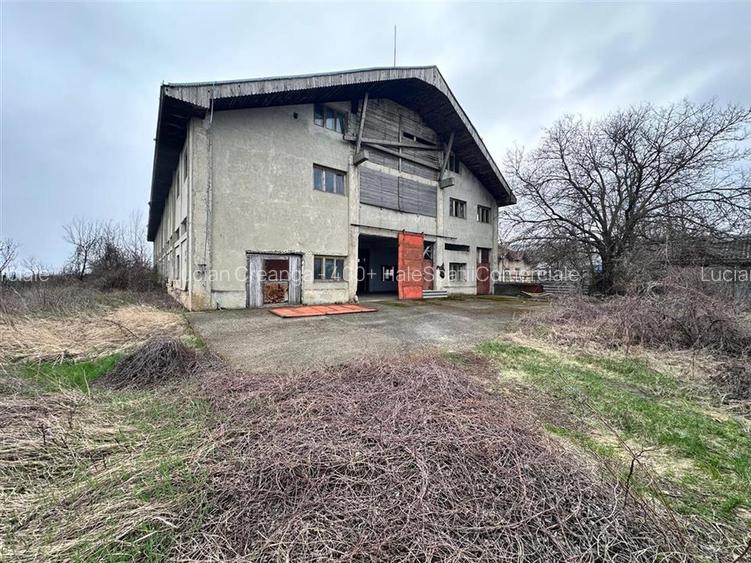Hala, spatiu comercial, vad, de la 423mp la 1744mp, Vama Albita - 8
