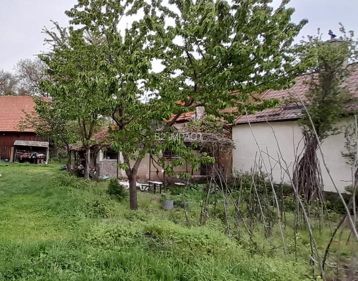 Teren de vanzare in Tarlungeni, Jud. Brasov - 3