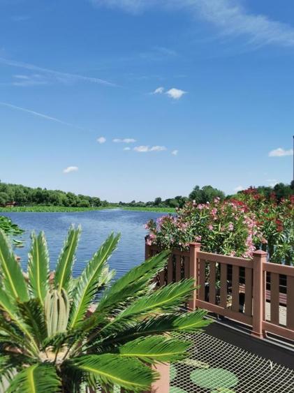 Proprietate exclusivista pe lacul Snagov 490000 euro / Chirie 2500 eu/luna
