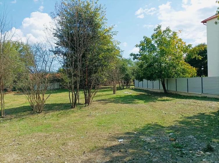 Casa cu teren intravilan 2.273 mp- pozitie centrala Darmanesti Bacau