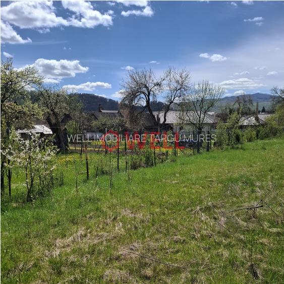 Sovata – teren intravilan de vânzare - 2