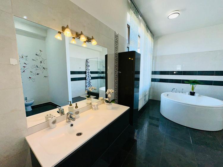 Aleea Privighetorilor- Penthouse 833 mp utili mobilat complet 3600 Euro + TVA