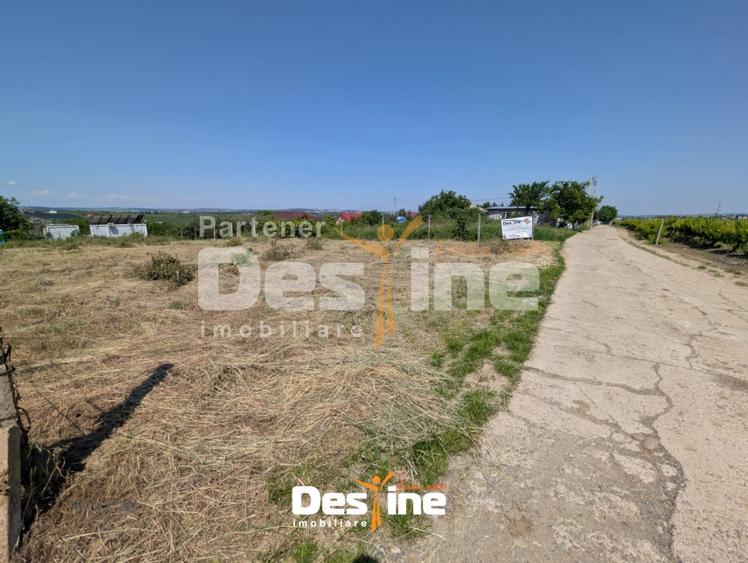 Bârnova - Teren Intravilan 974 Mp, utilitati, drum betonat