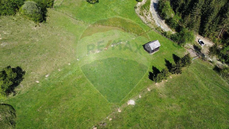 Teren 12,127mp Frasin / Drumul Forestier Valea Seacă