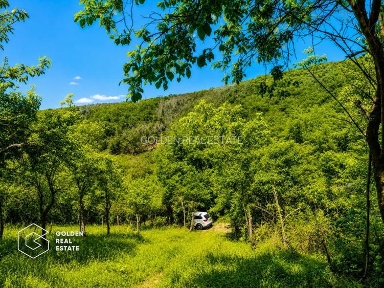 Teren intravilan, 1159 mp, localitatea Ghioroc - 7