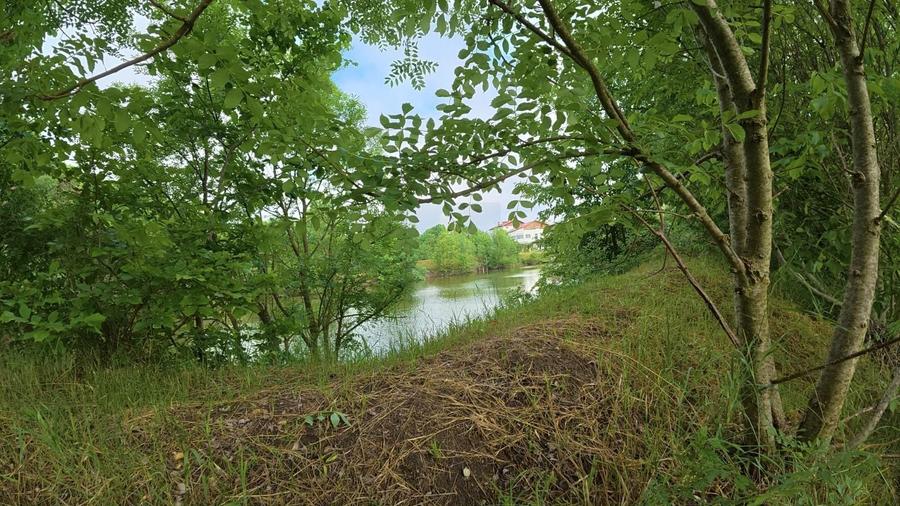 Domeniu de 13.054 mp cu vilă de ~1.000mpc și lac privat Teisori, Bulbucata