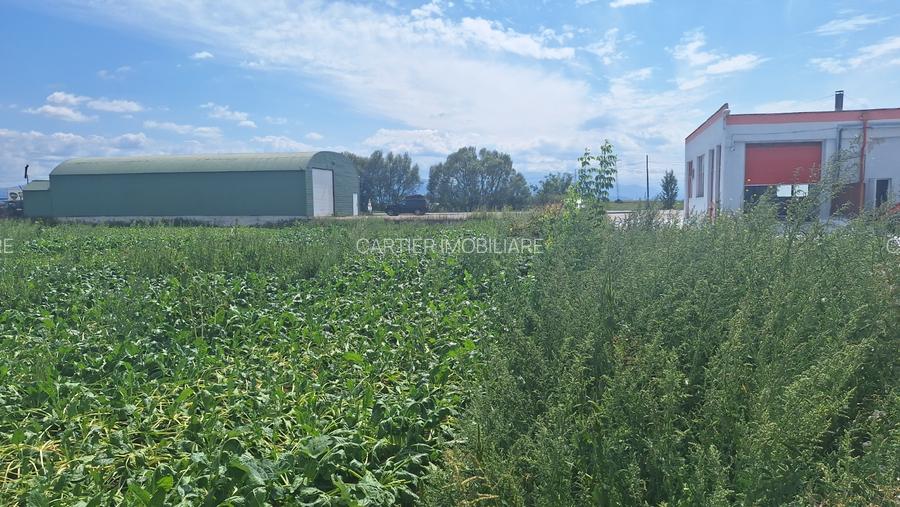 Vand teren 1.5 ha intravilan industrial Halchiu - 3