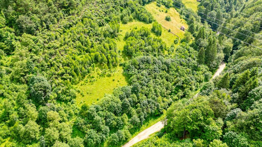 Investitie Smart in Moieciu, 3.1 ha, Panoramă 360 Bucegi - Piatra Craiului - 7