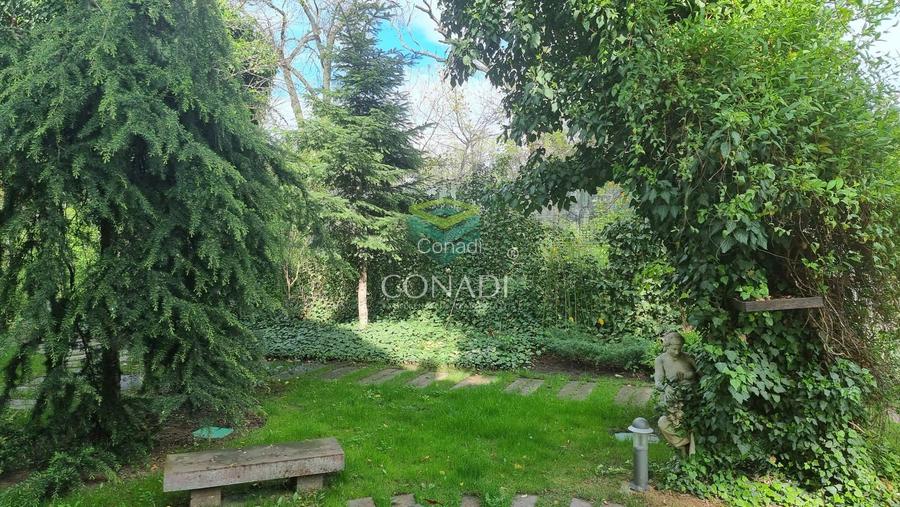 Vila teren 500 mp | Titeica – ideal sediu firma | langa Parcul Verdi - 10