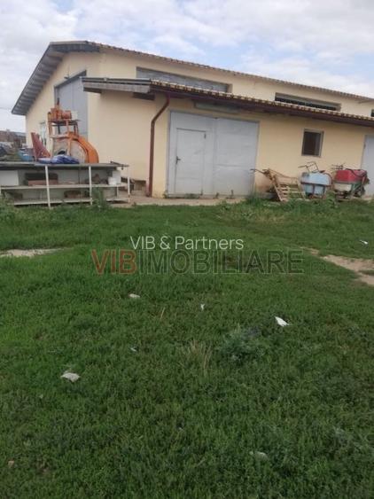 Ferma Zootehnică– Satchinez,  | 9,5 ha teren,vanzare sau schimb pentru jumatate - 10