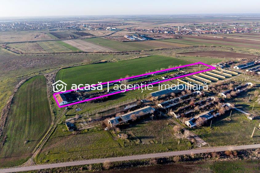 Teren 1.15 HA lângă Autostrada – Nădlac | clădiri+utilități