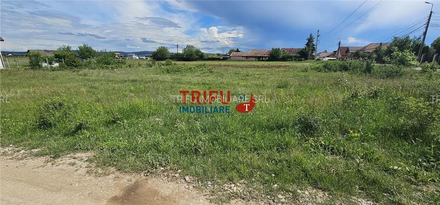 Teren intravilan 814mp in Micesti - 3