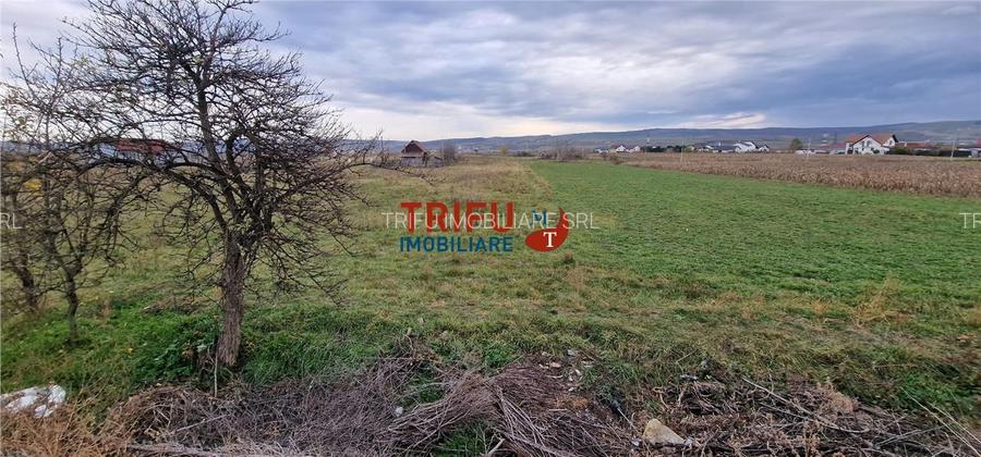 Teren 2160mp în  Partoș - 7
