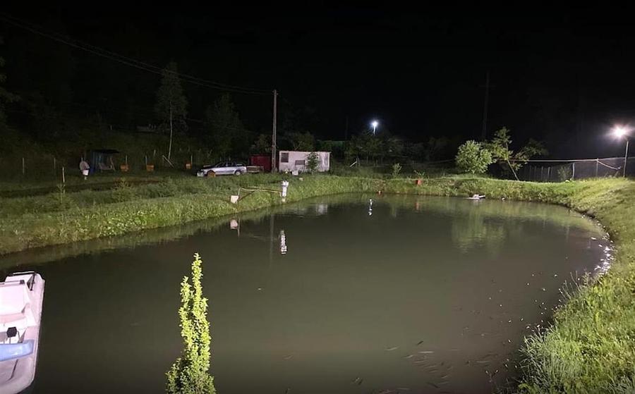 Iaz de vanzare in Apuseni- cazare, agrement si pescuit la DN74