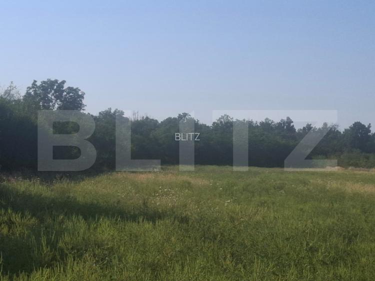 Teren extravilan de vaznare, 5000 mp, zona Matasaru - 3