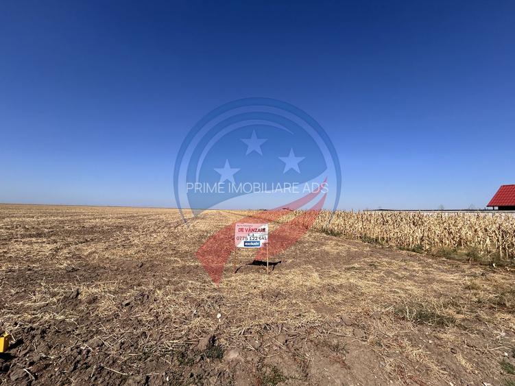 Teren intravilan 5087 mp de vânzare – Pielești - 9