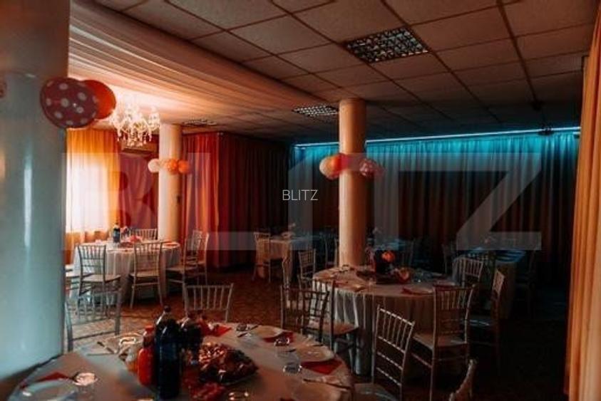 Ocazie, Vilă-Pensiune în zona Mehala - 4