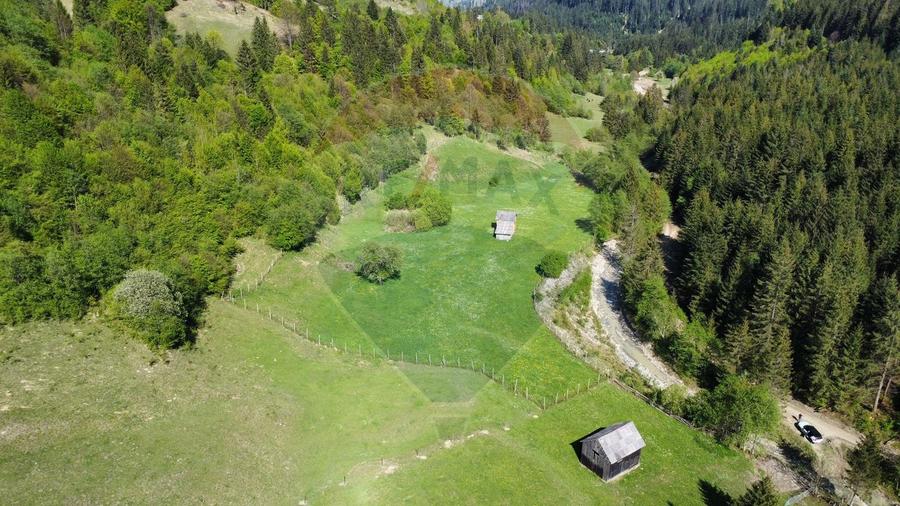 Teren 12,127mp Frasin / Drumul Forestier Valea Seacă