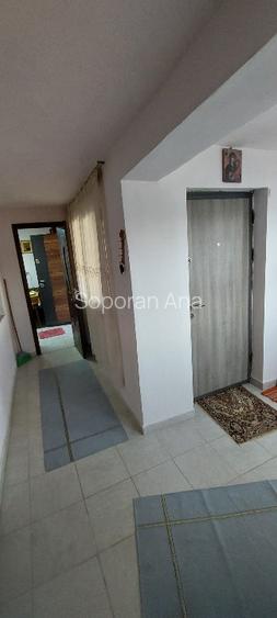 casa de vanzre Visinelu Mures - 6