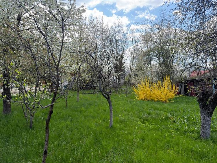 Teren intravilan construibil,Cornu Prahova -50 euro/mp