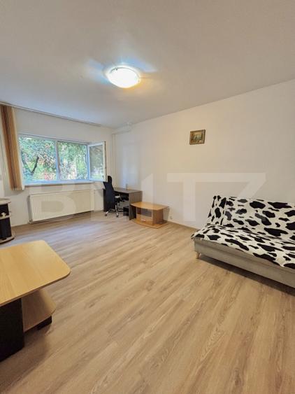 Apartament cu o camera, 28 mp, zona Lipovei