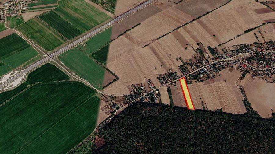 OCAZIE - Teren Intravilan - 8300 mp, Gruiu - Padurea Snagov