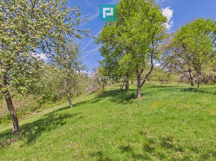 Proprietate rară cu 24.270 mp, în Măgulicea, Arad!