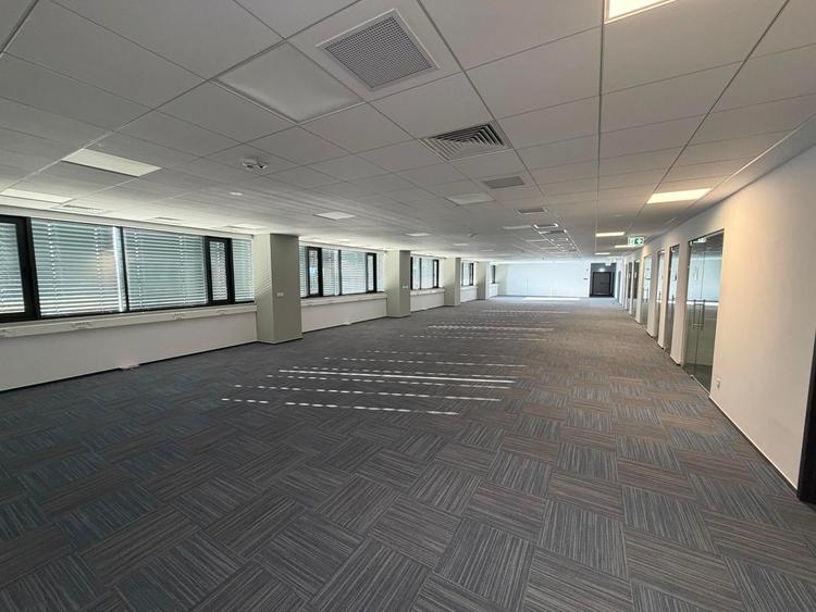 Spațiu de birouri modern – 3.500 mp disponibili într-un hub industrial premium