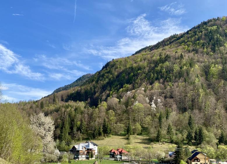Teren panoramic însorit, utilități, panta mica si pădure, turism sau vacanță