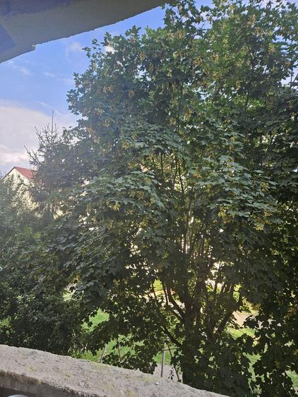 Parcul Trandafirilor, garsoniera in bloc de apartamente, loc parcare