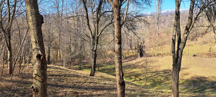 TEREN INTRAVILAN, 2142 mp, COMARNIC PRAHOVA, PODUL LUNG - 16