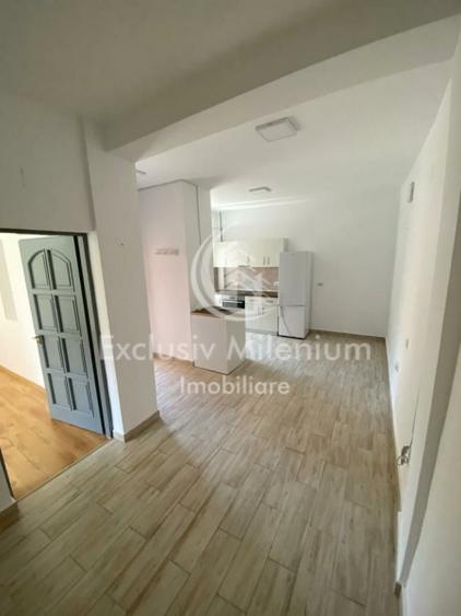 Parter Vila Stefan cel Mare 2 camere Birouri Intrare Separata