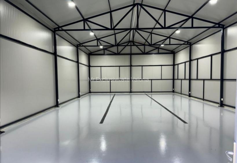 De vanzare proprietate Podari – 2 hale industriale + casa și spatiu recreativ - 7