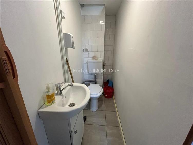 Spatiu comercial cu vad strada Harmanului, Craiter - 12