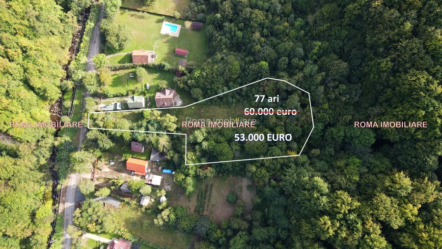 Vânzare teren – Blidari, Maramureș - 4