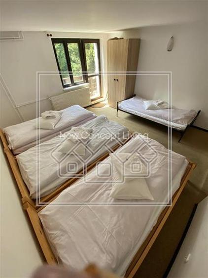 Vila mobilata si utilata - investitie turistica profitabila - Paltinis - 22