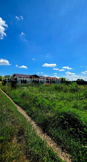 Casa nouă individuală, 4 camere, Dascălu, Ilfov - 9