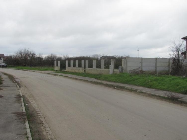 Cornetu - Crizantemelor, Stradal