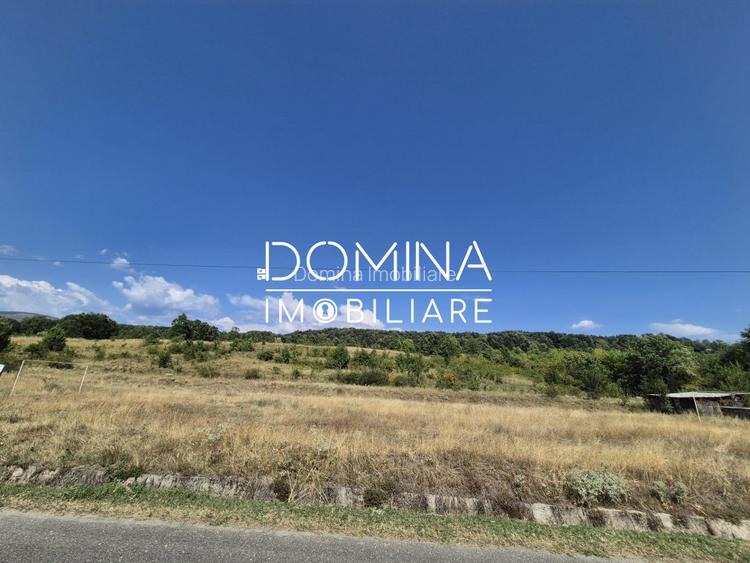 Vânzare teren 13.000 mp - Runcu-Suseni - oportunitate turistică - 4