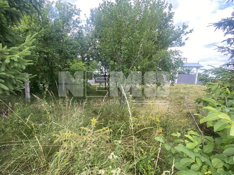 Teren Intravilan | 20 Ari | Frătăuții Noi - 3