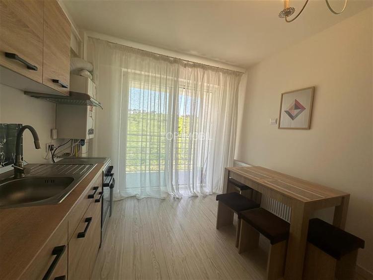 Inchiriere Apartament cu 2 camere Visani - 8