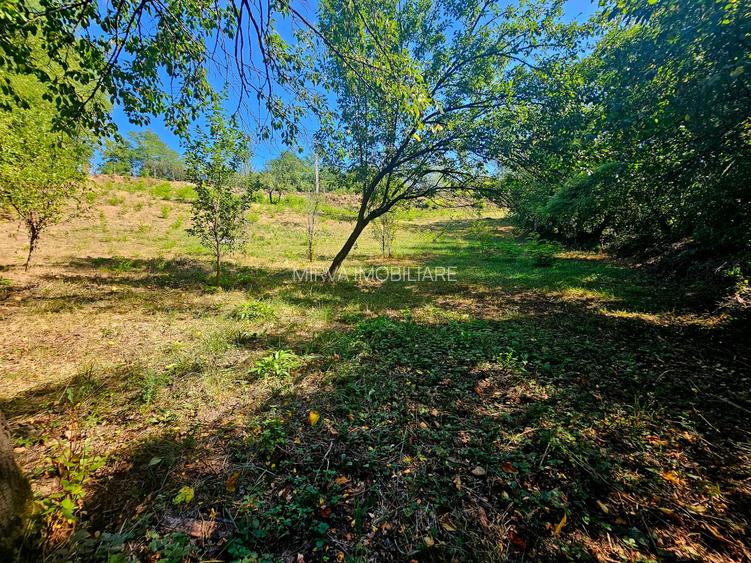 Teren intravilan 2322 mp, Păcuri – vedere superbă spre pădure! - 7