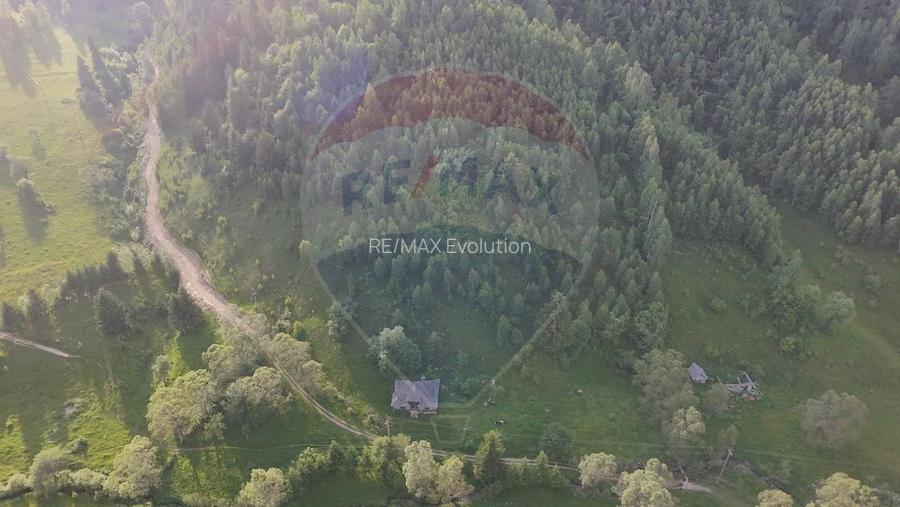Teren 38,704mp Sirnea | 2.000 mp Intravilan | 36,704 Extravilan - 13
