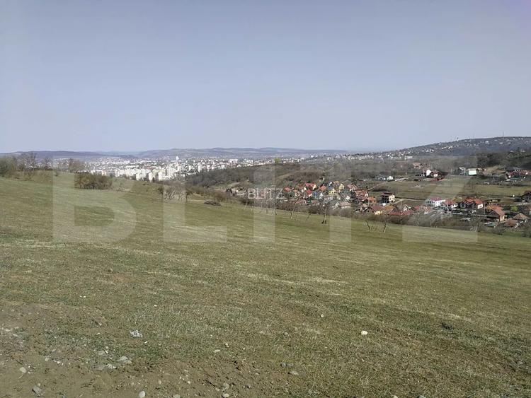 Teren intravilan, 15.904 mp, zona Dambu - 4