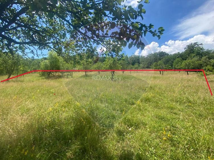 Teren intravilan 12.458 mp în Văleni (Meteș) - 4