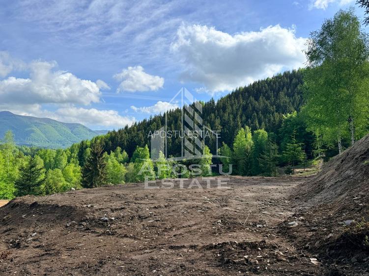 Oportunitate! Domeniu montan, cu lac propriu, oras Lupeni, Hunedoara - 24
