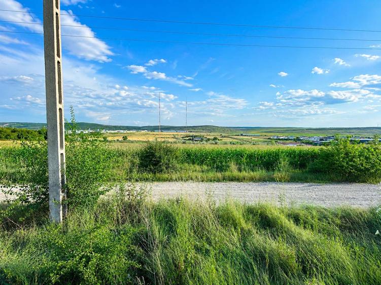 Teren pentru Hală 1000 mp zona Metro lângă Zeelandia, 20,30 m deschidere, Aproape E85, Ideal Investiție Industrială