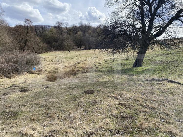 Teren extravilan in suprafata de 7500 mp la poalele Mesesului - 3